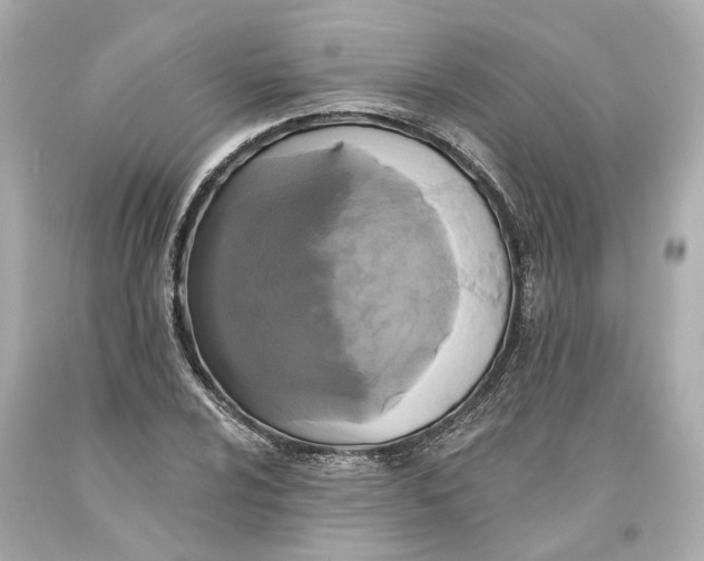 X0000093581024200711051114