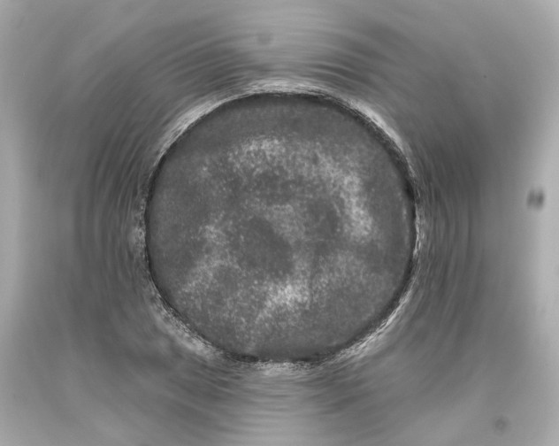 X0000093581025200711051114