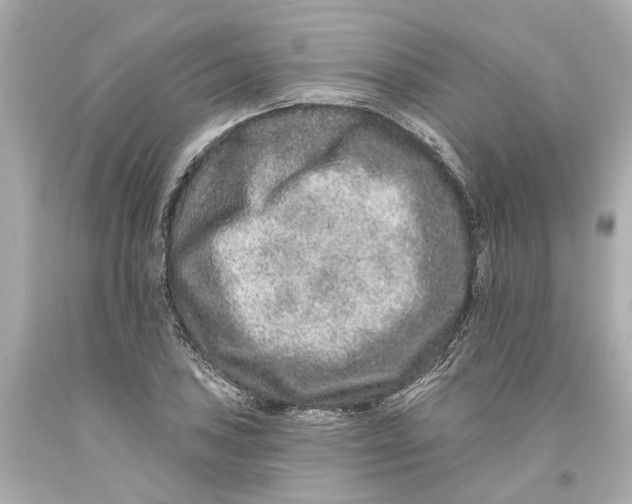 X0000093581027200711051114