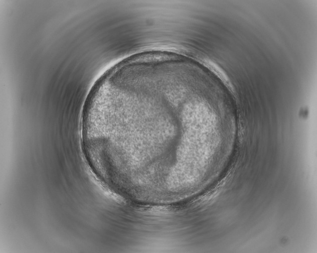 X0000093581028200711051114