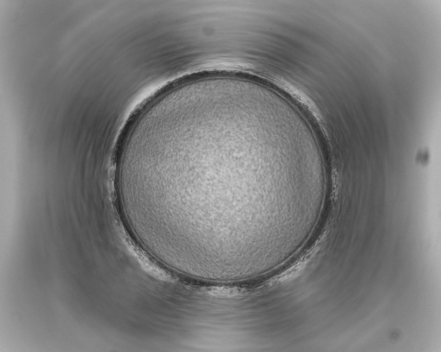 X0000093581029200711051114