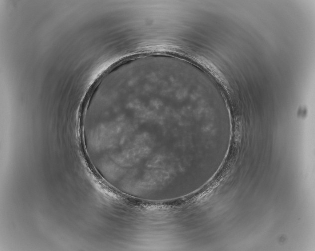 X0000093581031200711051114