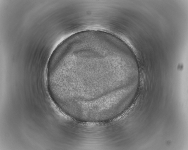 X0000093581032200711051114