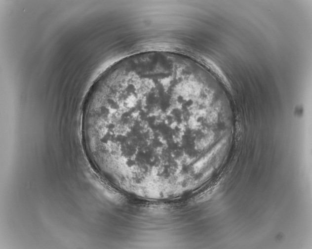 X0000093581035200711051114