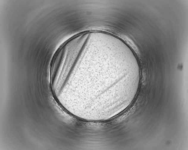 X0000093581036200711051114