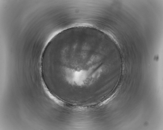 X0000093581038200711051114