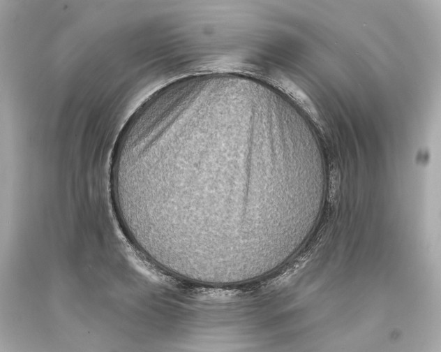 X0000093581039200711051114