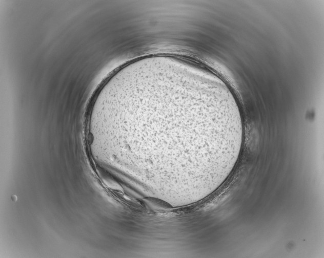 X0000093581043200711051114