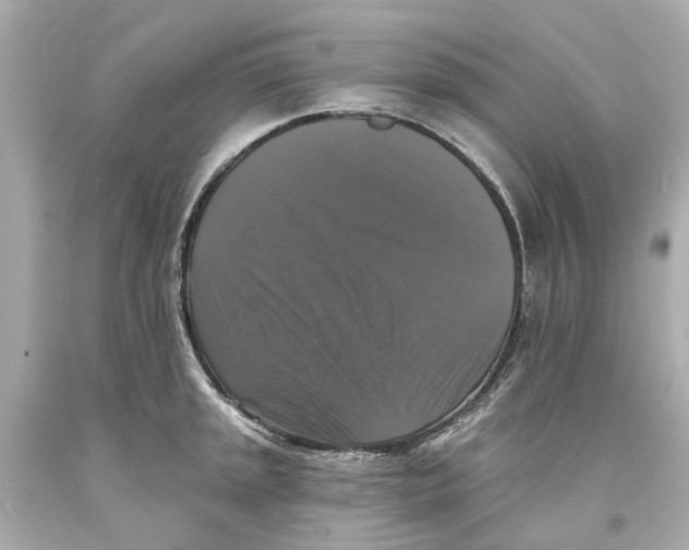 X0000093581045200711051114