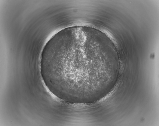 X0000093581046200711051114