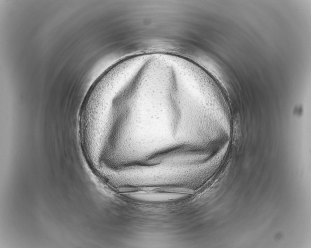 X0000093581047200711051114