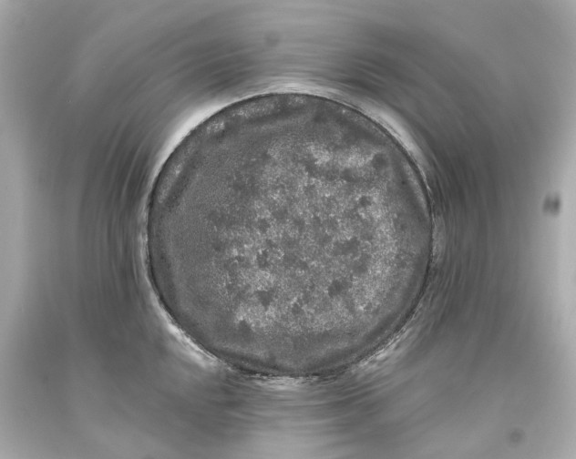 X0000093581048200711051114