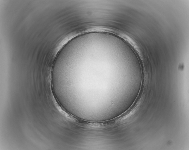 X0000093581049200711051114