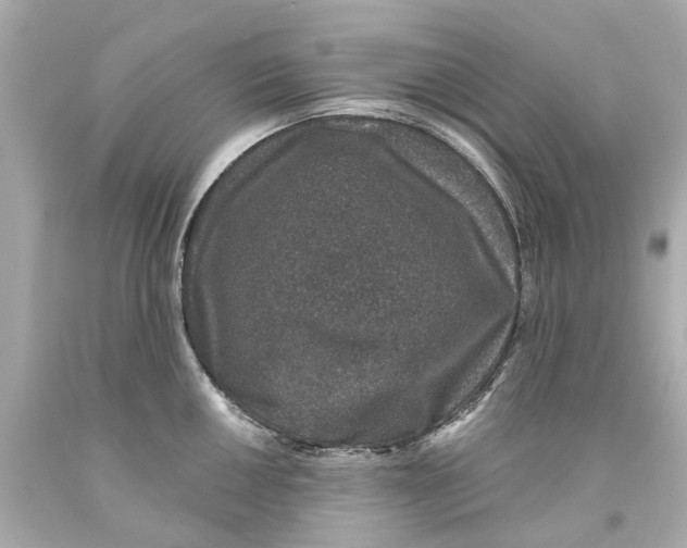 X0000093581050200711051114