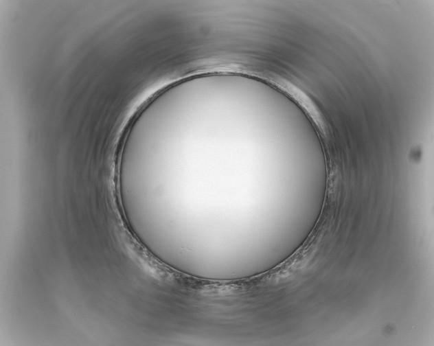 X0000093581051200711051114