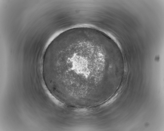 X0000093581054200711051114