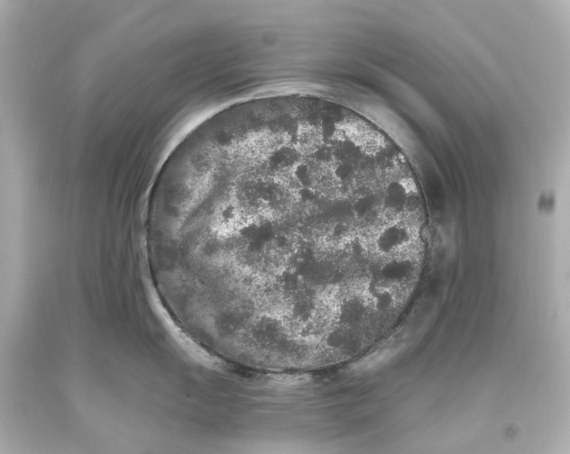 X0000093581055200711051114