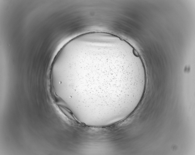 X0000093581056200711051114