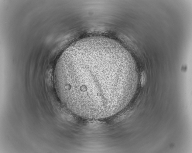 X0000093581059200711051113