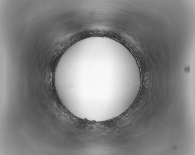 X0000093581061200711051113