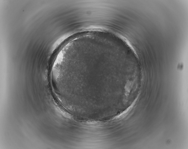 X0000093581066200711051113