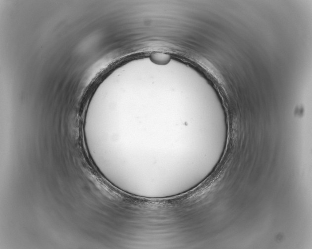 X0000093581067200711051113