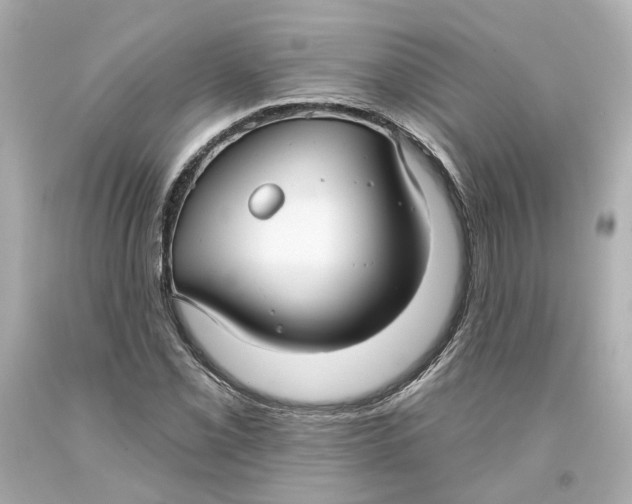 X0000093581069200711051113