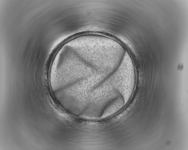 X0000093581070200711051113