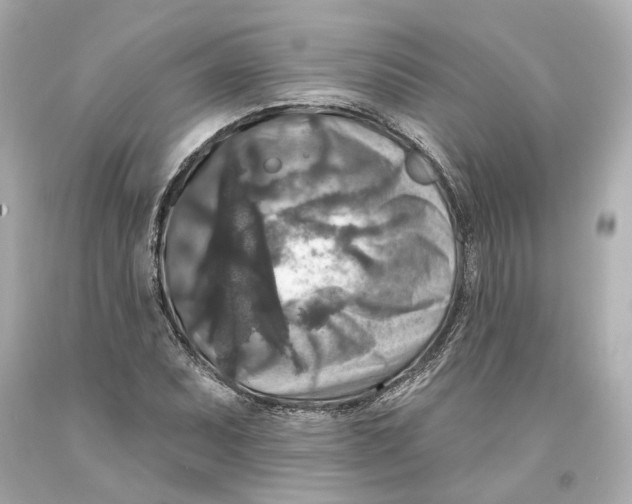 X0000093581071200711051113