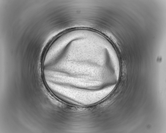 X0000093581072200711051113