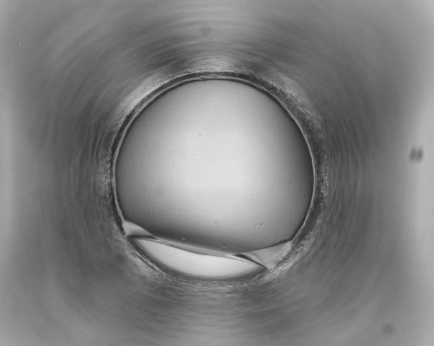 X0000093581073200711051113