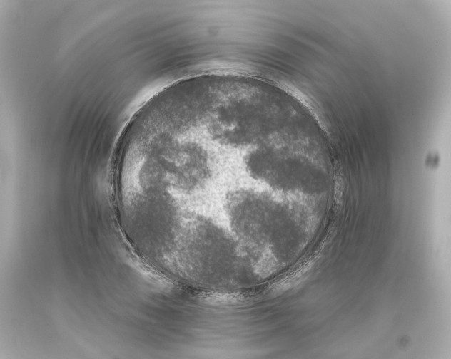 X0000093581074200711051113