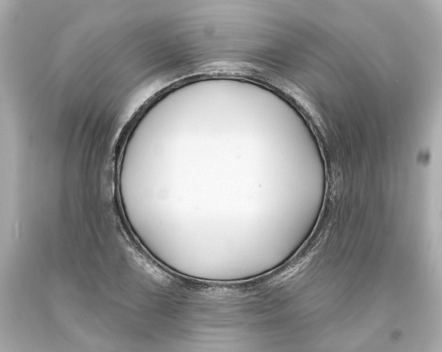 X0000093581075200711051113