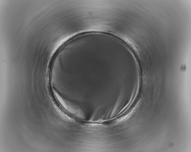 X0000093581077200711051113