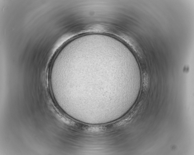 X0000093581078200711051113