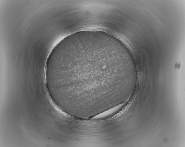 X0000093581079200711051113