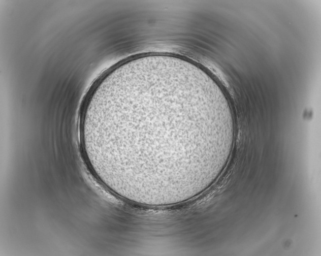 X0000093581080200711051113