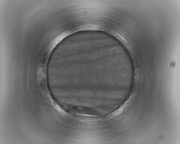 X0000093581081200711051113