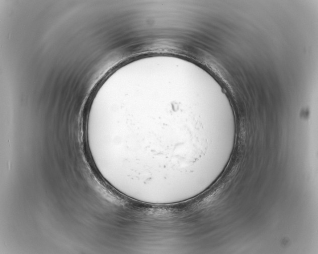 X0000093581082200711051113