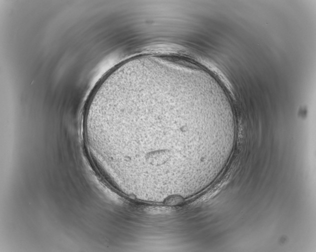 X0000093581083200711051113