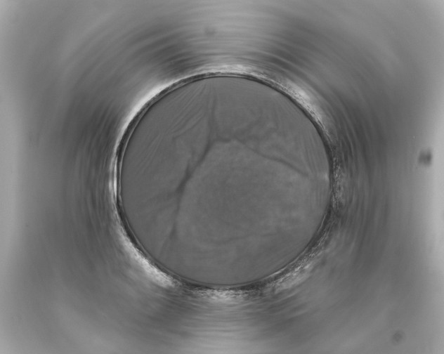 X0000093581084200711051113