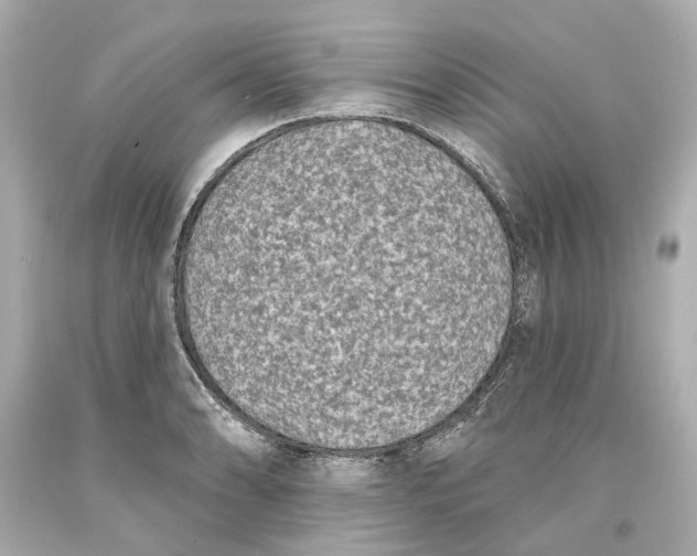 X0000093581086200711051113