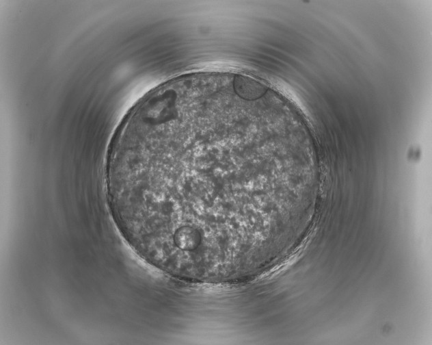 X0000093581087200711051113