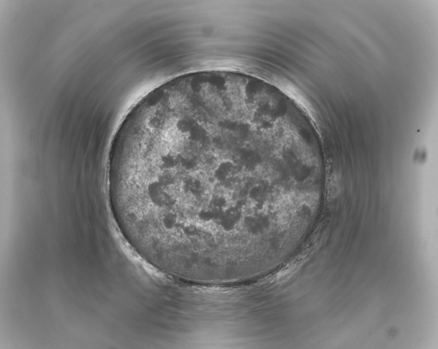 X0000093581088200711051113