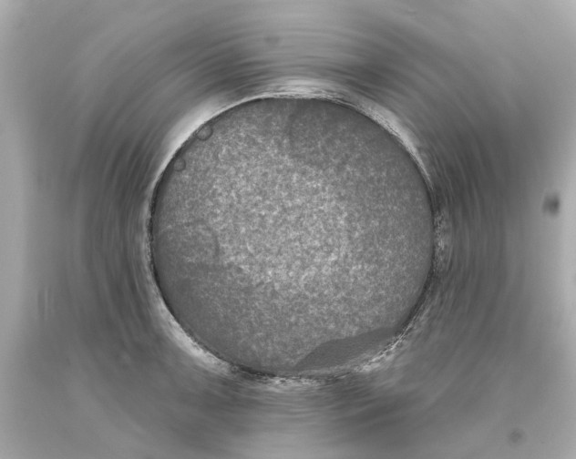 X0000093581091200711051113