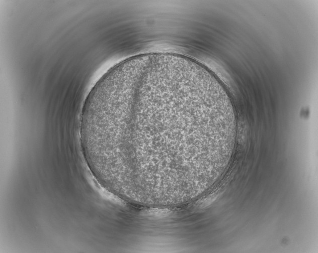 X0000093581094200711051113