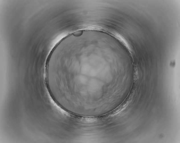 X0000093581095200711051113