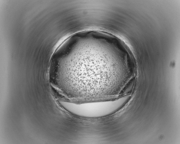 X0000093581097200711051113