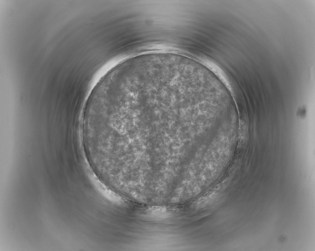 X0000093581098200711051113