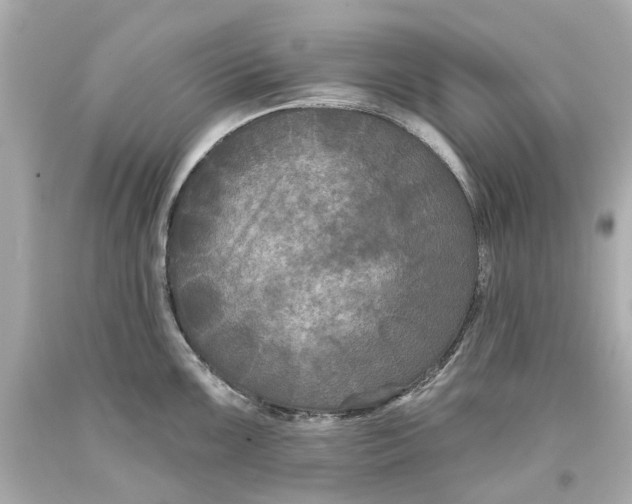 X0000093581099200711051113